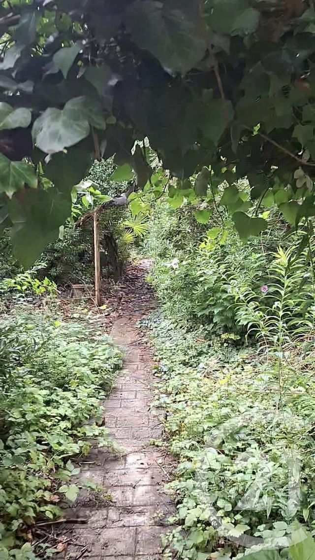 Maison à vendre VALENTON